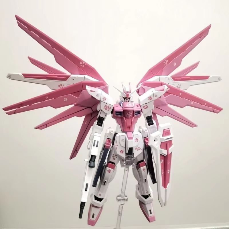 JMS HG 1/144 ZY-06 Freedom Ass - Bandai Gundam Rg avis et prix